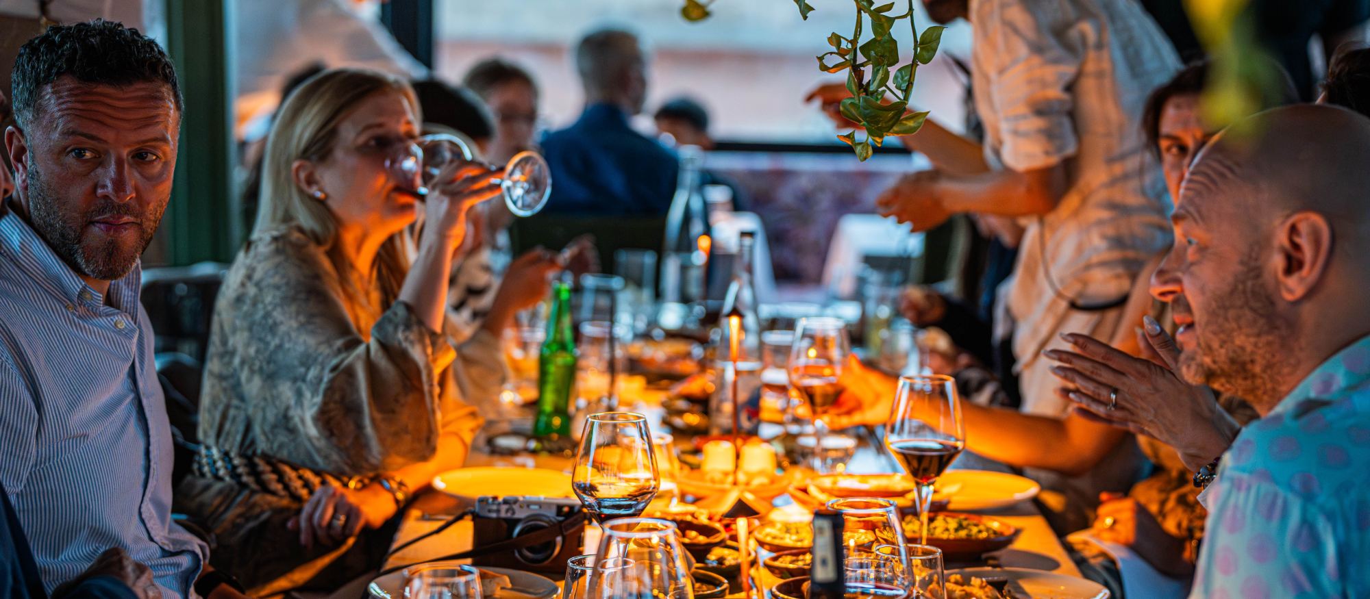 A long table in the evening, Hostel Round Table members in conversation